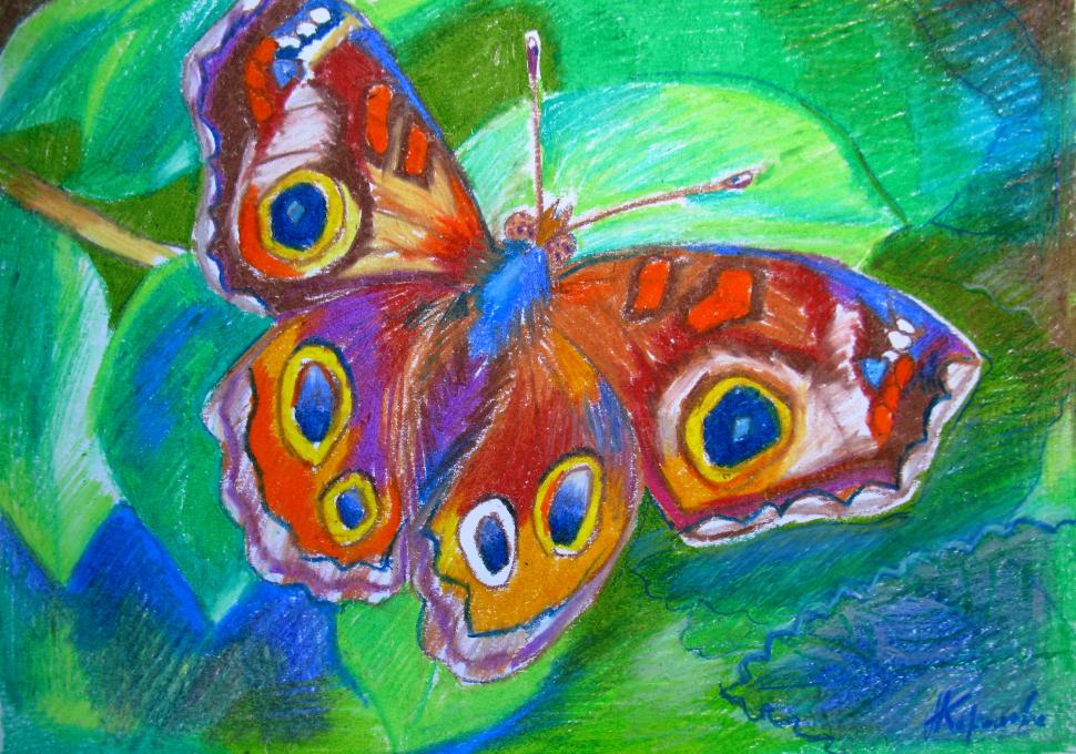 Картина разноцветная бабочка